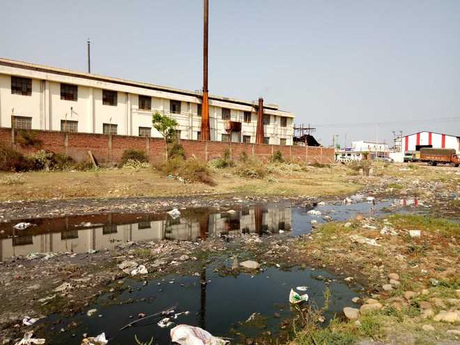 Industries polluting water bodies in Samba