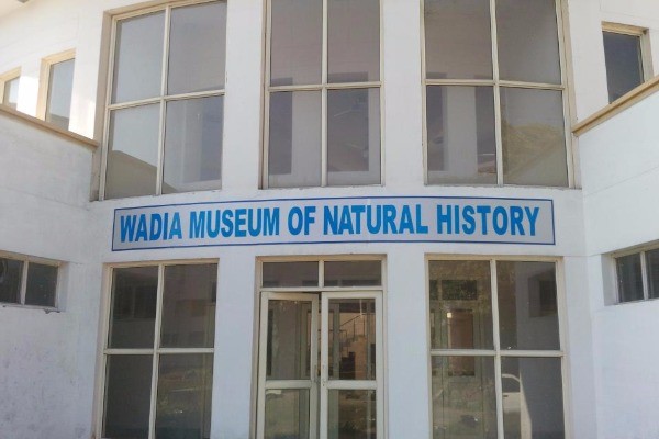 Museum inside Auditorium wadia museum of natural history Jammu