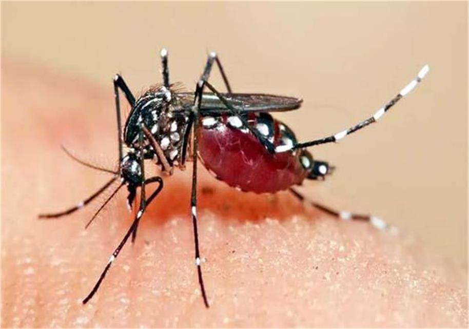 Jammu and Kashmir is in the grip of these dangerous diseases