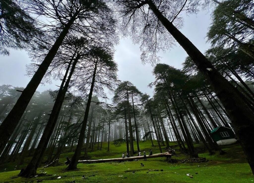 Enjoy the serene tranquility of Patnitop