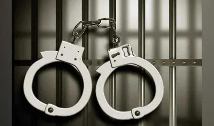 Arrest1 11 v jpg 442x260 4g