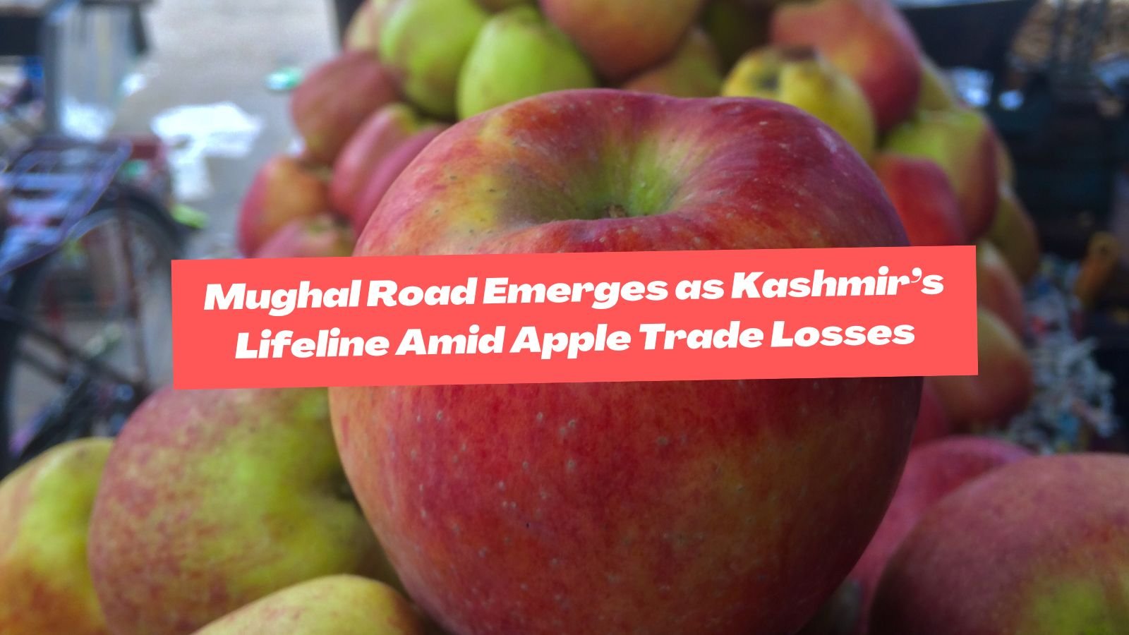 Mughal Road Emerges as Kashmir’s Lifeline Amid Apple Trade Losses