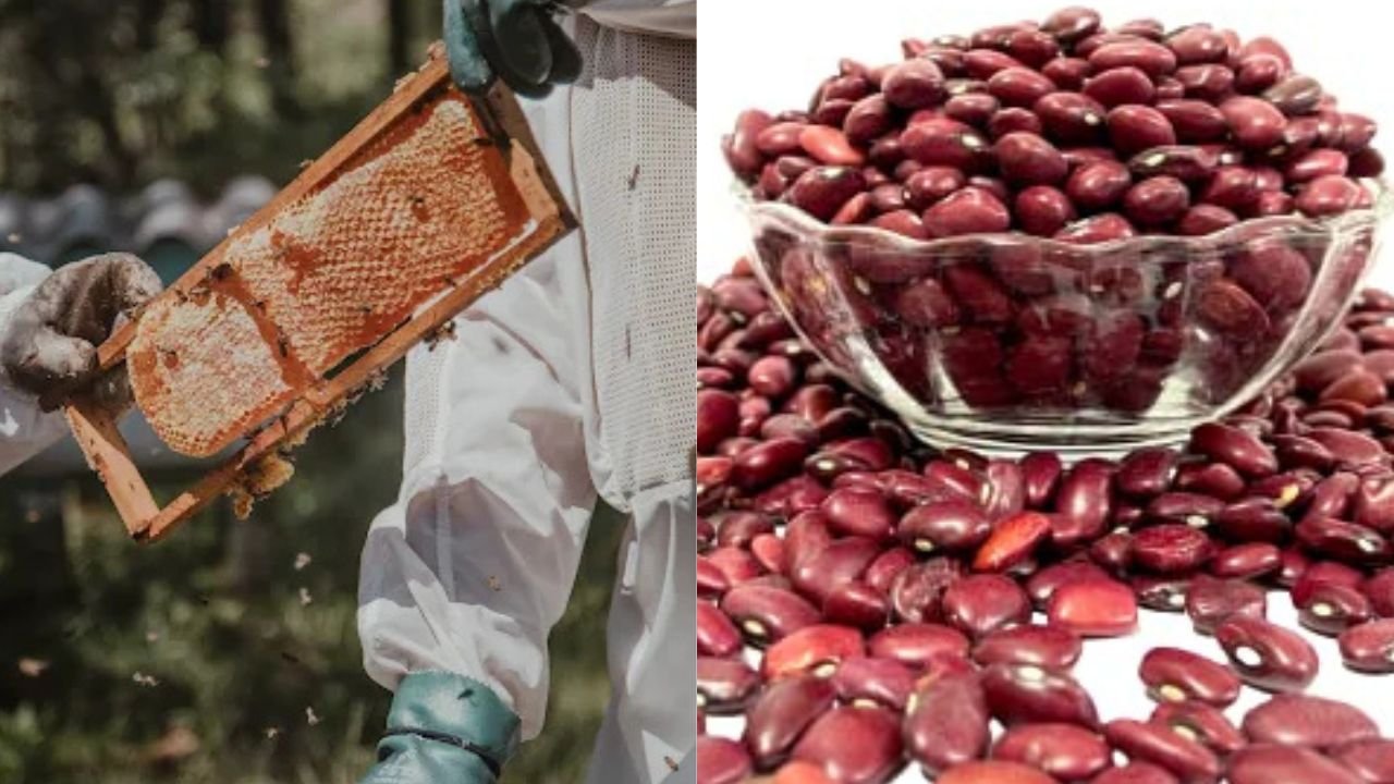 Sulai Honey & Bhaderwahi Rajma in Mann Ki Baat