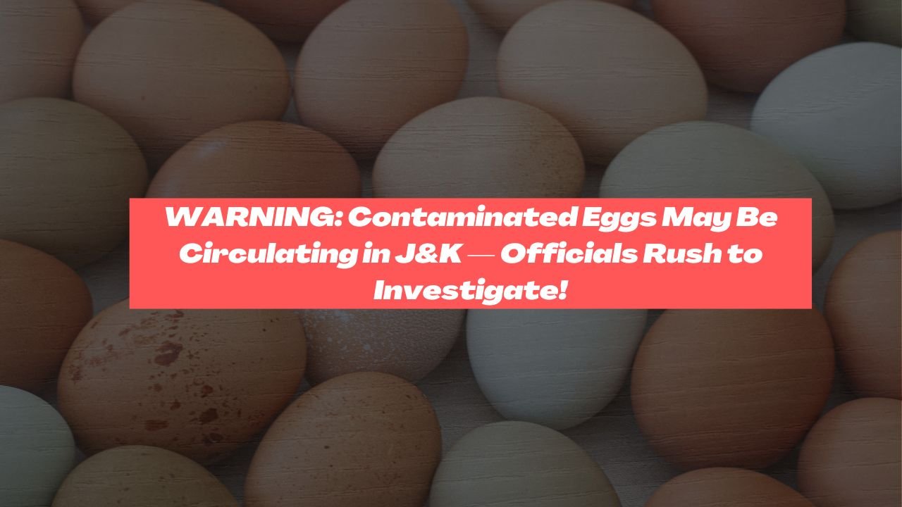 adulterated eggs in Jammu Kashmir