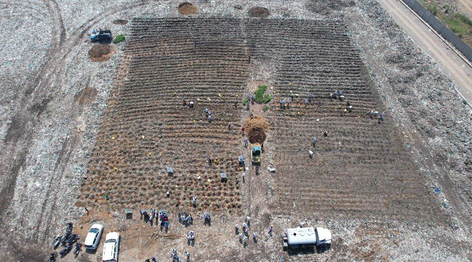 20-kanal stretch at Kot Bhalwal 500 TREES PLANTED